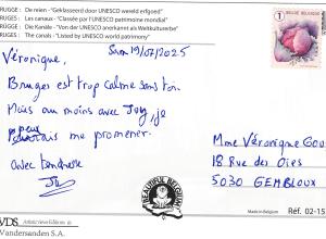 Carte postale avec les canaux de Bruges